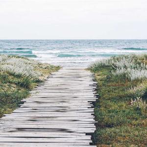 დინამიკები