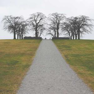 ფიტნეს-ტრეკერები