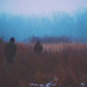 ვიდეობარათები