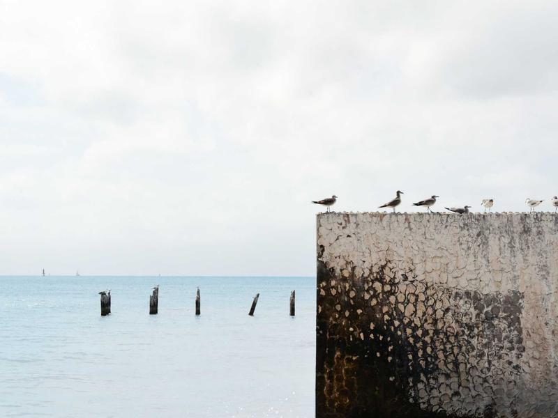 Galaxy S სერია პრო 7162