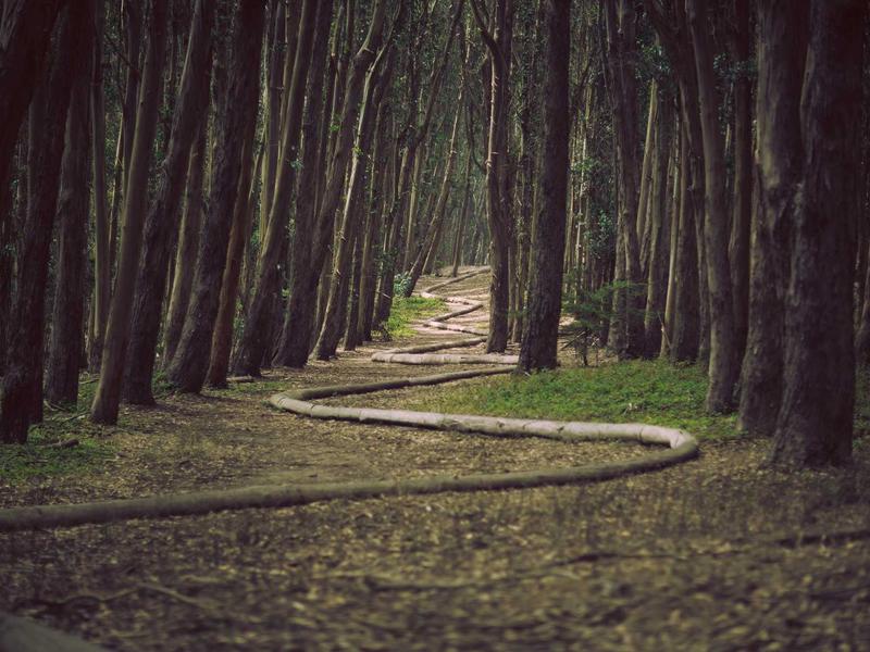 დაცული (IP68) ულტრა PZ20