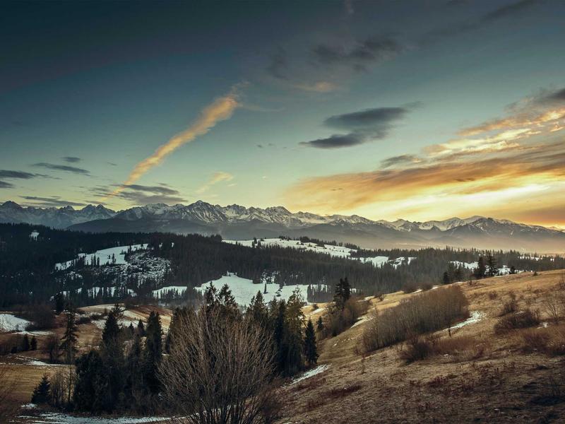 ThinkPad (ბიზნესი) მაქს XY15