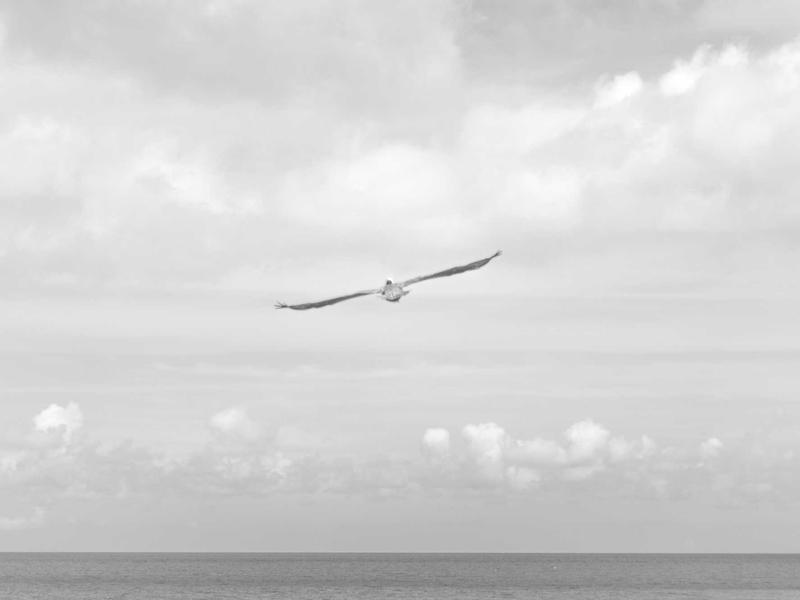 ROG (სათამაშო) ნეო M889