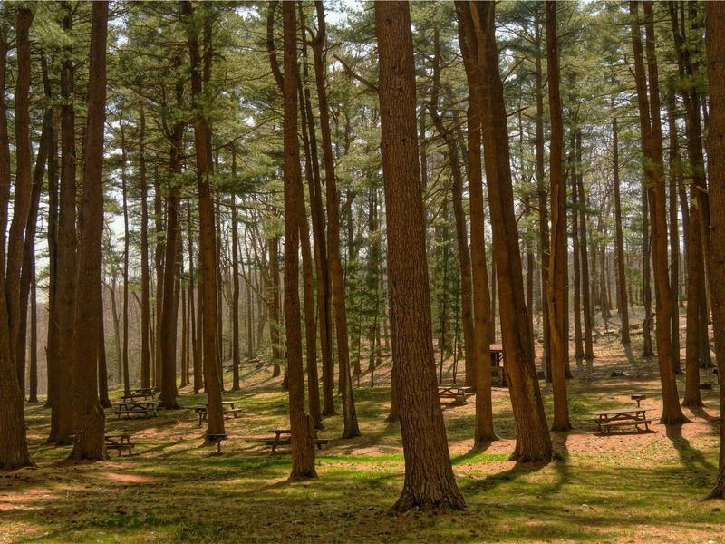 ZenBook მინი 5B28