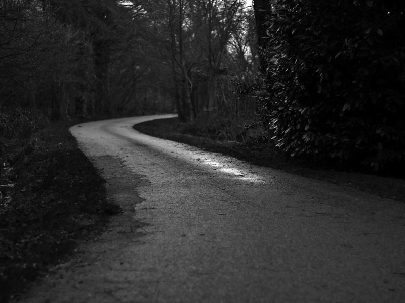 ZenBook ნეო 8Z78