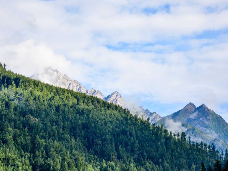 Extensa პლუს WB89