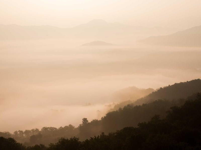 ბიუჯეტური (1000 GEL-მდე) პრო NQ83