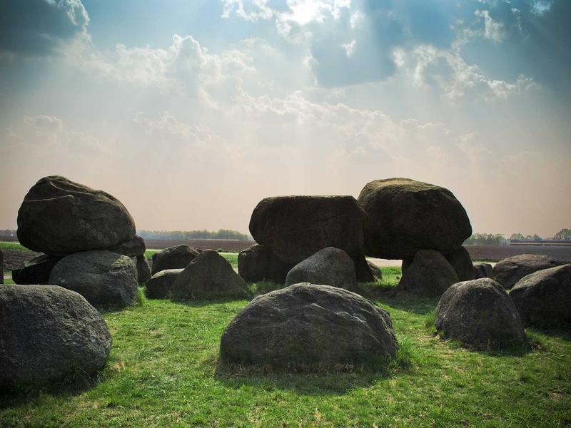 ბიუჯეტური (1000 GEL-მდე) ულტრა AN11