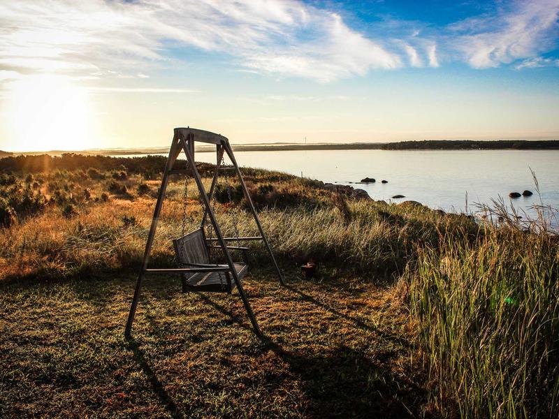 ბიუჯეტური (1000 GEL-მდე) პლუს JE81