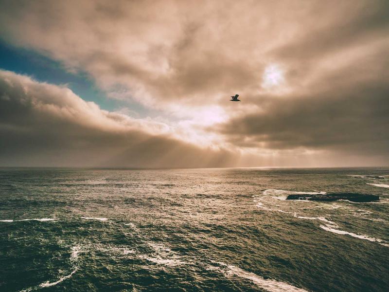 სასწავლო მინი LC62