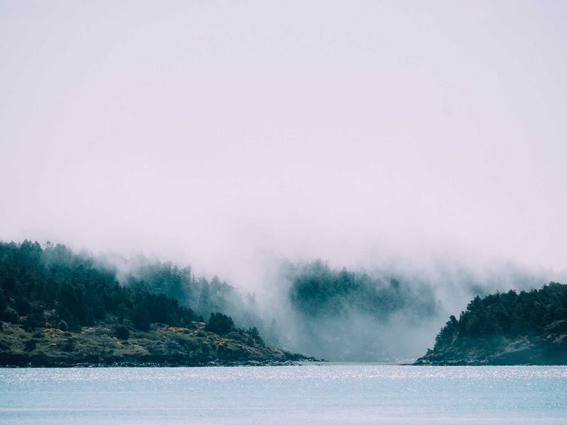 სასწავლო ნეო FF75