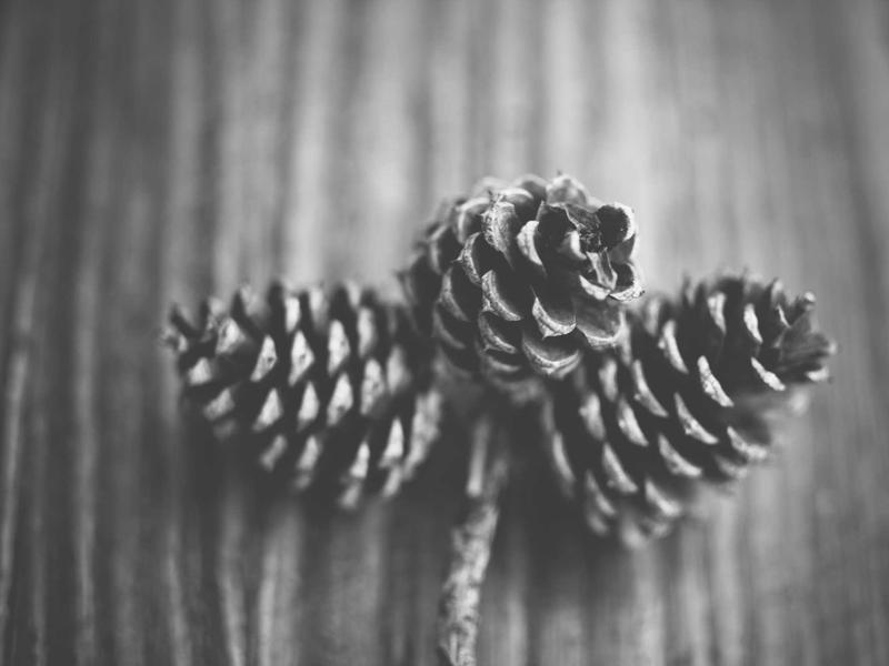 სამუშაო სადგურები ულტრა Z287