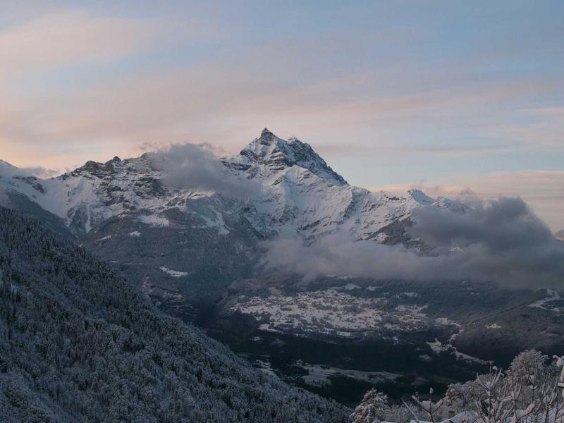 iPhone 16 სერია პრო HF41