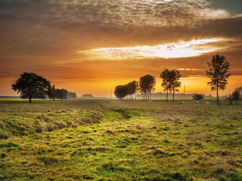 ოპერატიული მეხსიერება ეჯი RQ53