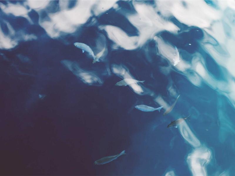 კორპუსები ეჯი 7M78