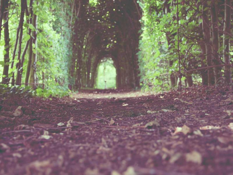 კვების ბლოკები პრო CX30