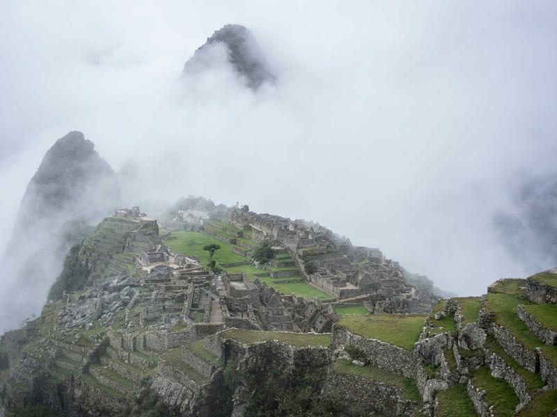 კვების ბლოკები ელიტ 3B59