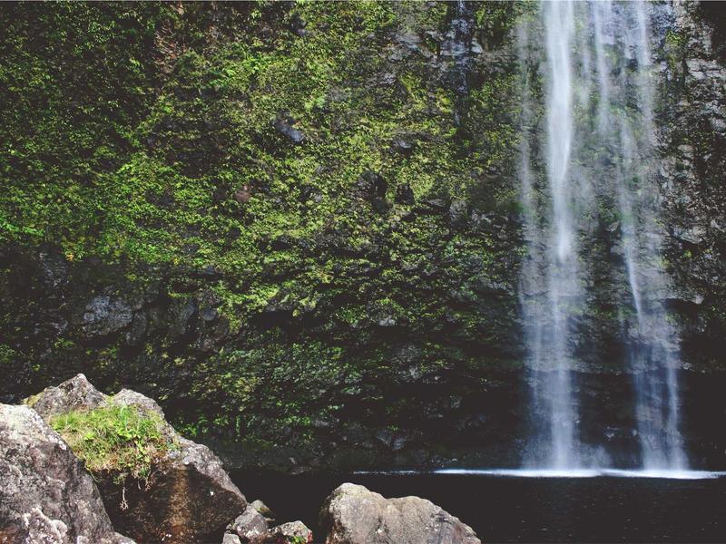 გაგრილების სისტემები ეჯი B561