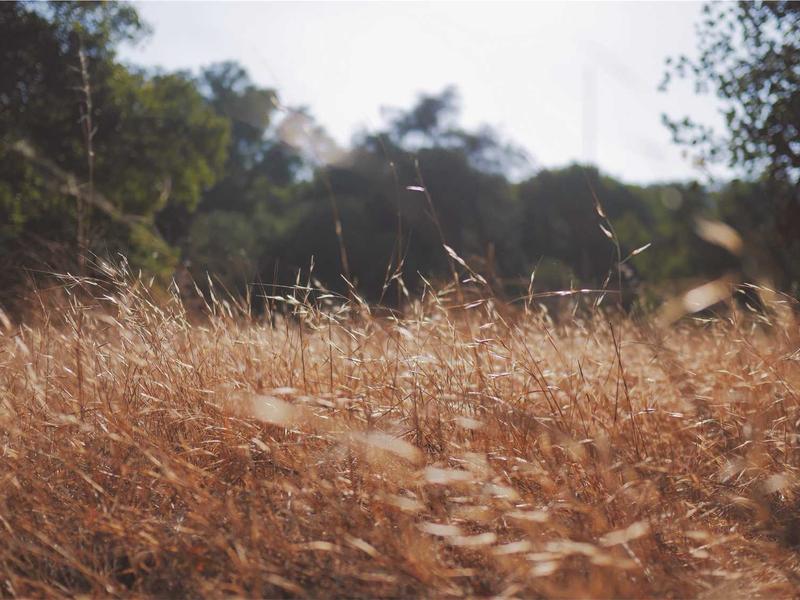 გაგრილების სისტემები ლაიტ K381