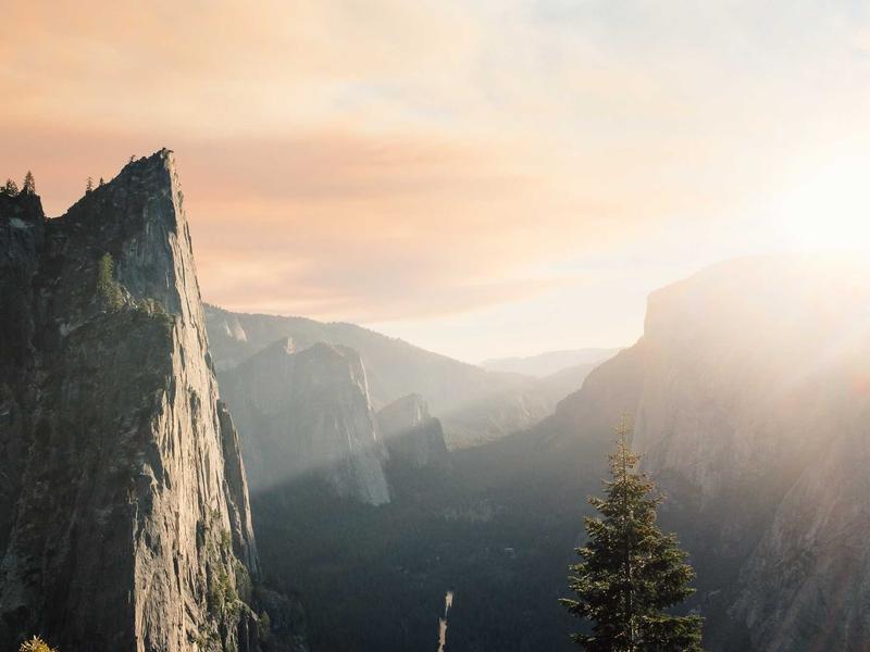 Tab S სერია ულტრა XK61