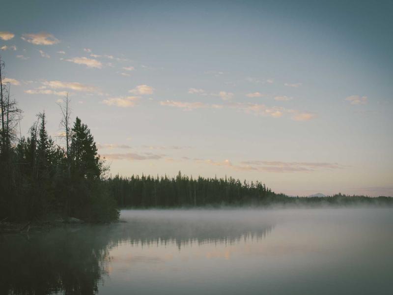 Tab S სერია მაქს VY69