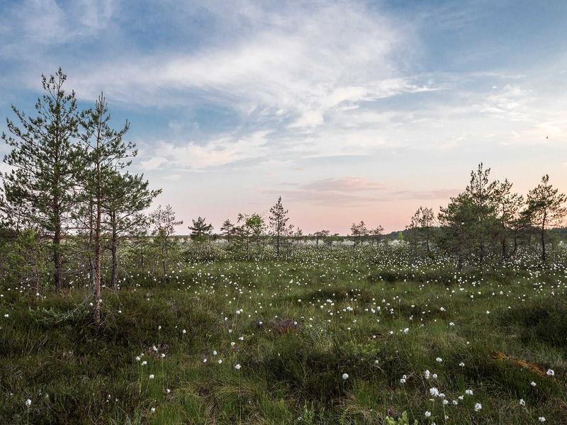 Xiaomi Pad ულტრა 1462