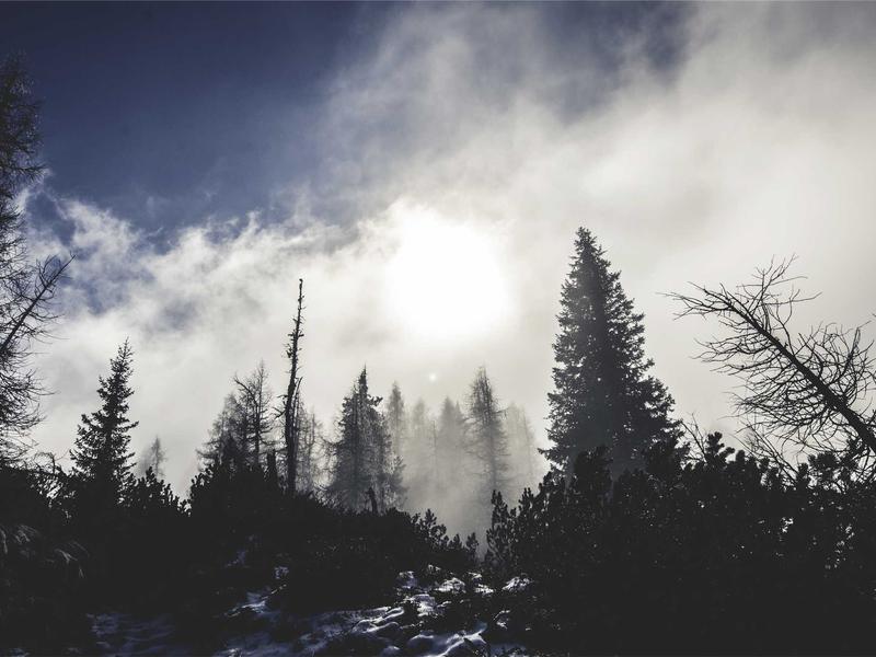 Lenovo Tab მინი LT50