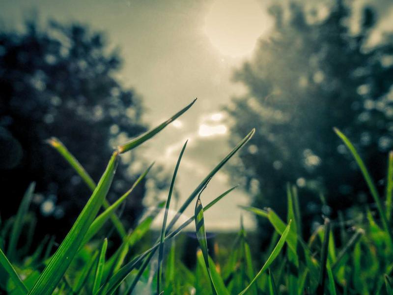 iPhone 14 და ძველი ულტრა 8F77