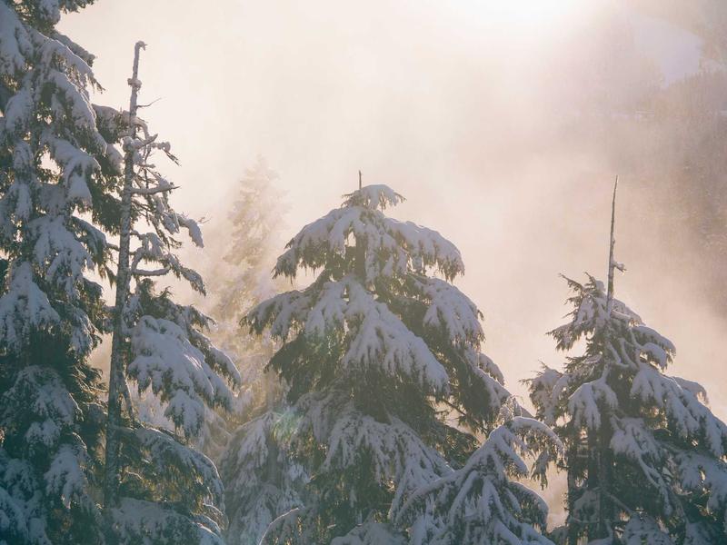 Xiaomi 14 სერია ეარ N567