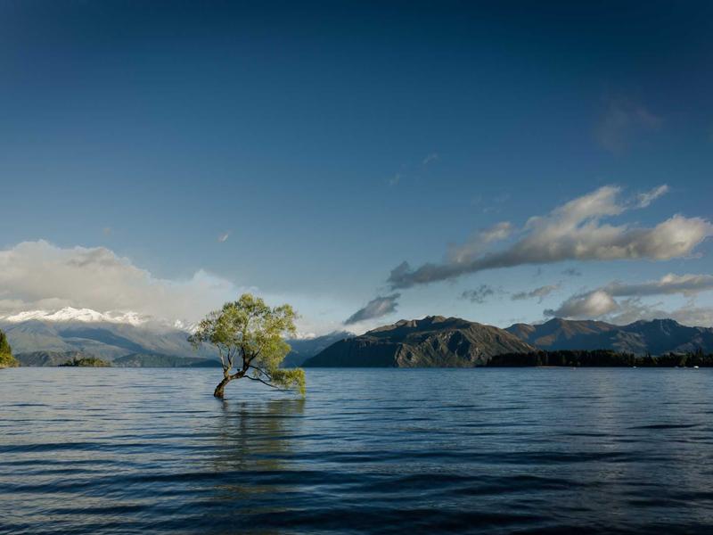 Redmi ულტრა FB43