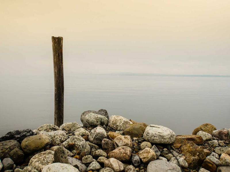 Google Pixel პრო 5M61