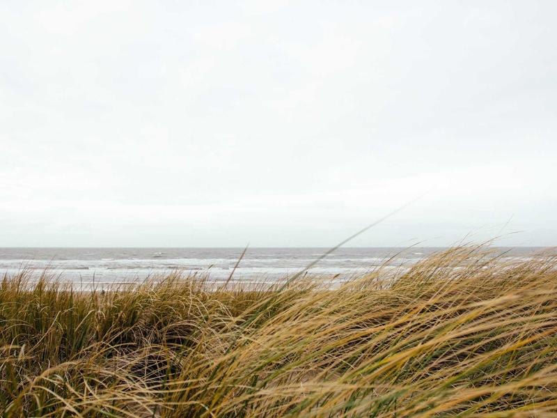 Realme პლუს EZ14