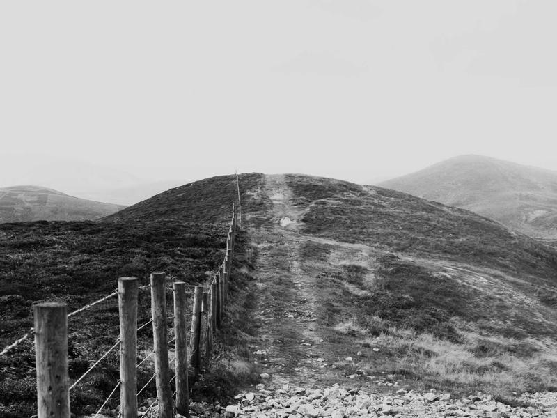 300-700 GEL ეარ E757