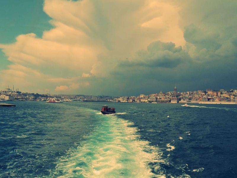 300-700 GEL ლაიტ ZO40