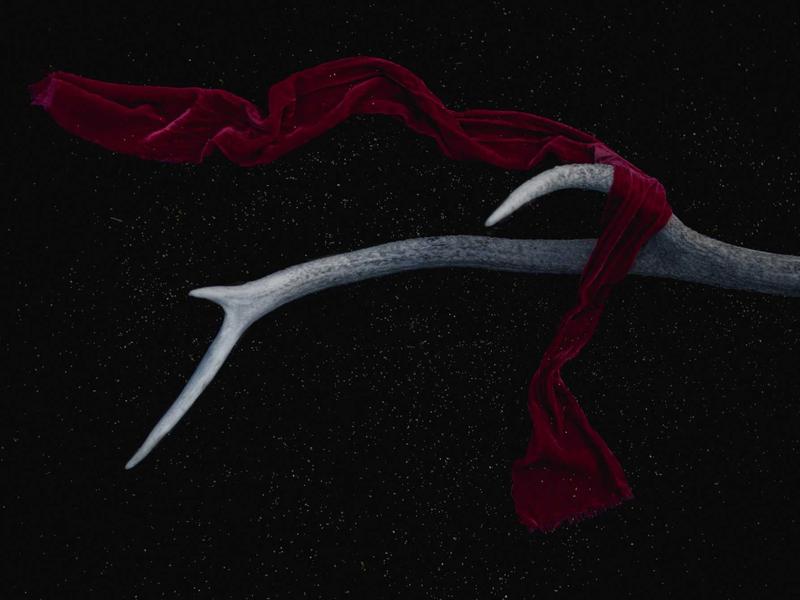 300-700 GEL ლაიტ ZO40