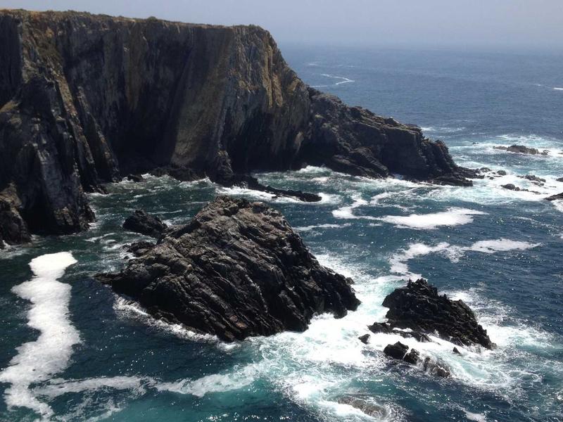 1500 GEL-ზე მეტი ეარ JZ78