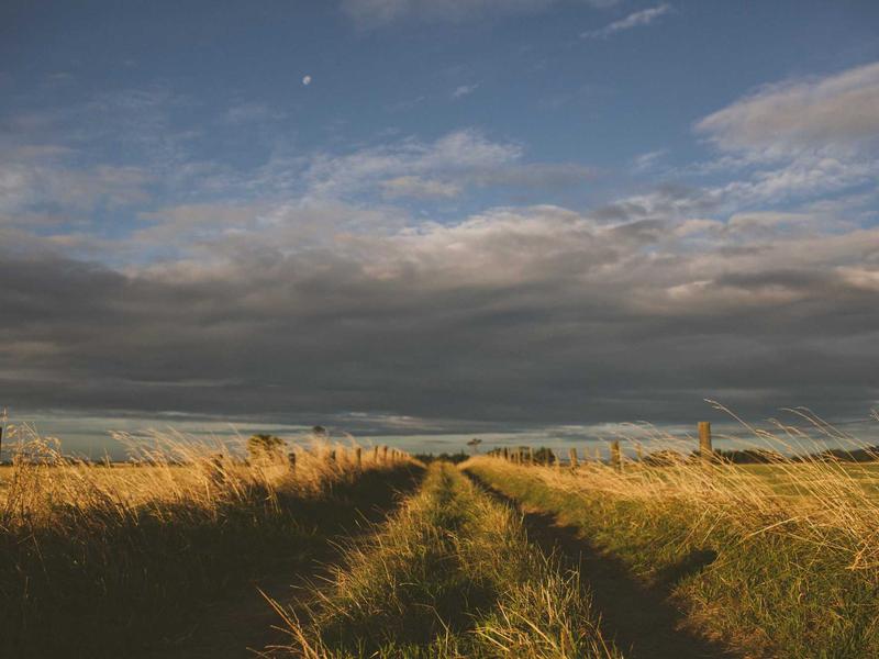 ფლაგმანები პრო AE73