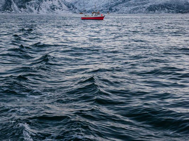 ფლაგმანები მაქს 6N92